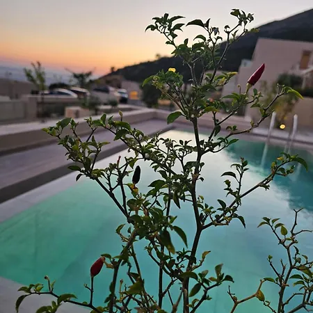 Villa Ostriche Coast *